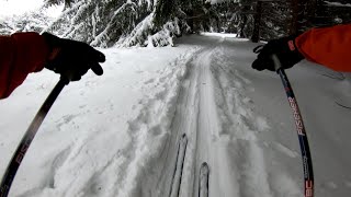 Cross Country Ski - Rock Run Trails, Moshannon...