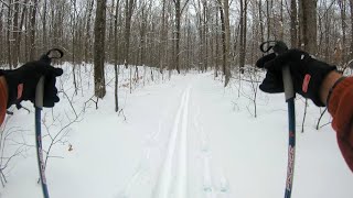 Cross Country Ski - Scotia / Patton Woods,...