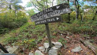 Hike - Little Flat Loop, (New Laurel Run, Mid...