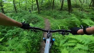 Mountain Bike - Lingle Valley Trail...