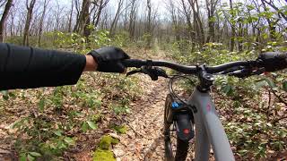 Mountain Bike - Southern Tiadaghton State...