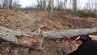 Mountain Bike - Trail Maintenance, Eagleton...