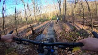 Mountain Bike - Bald Knob Ridge Trail - March...