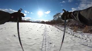 Cross Country Ski - Sand Ridge - January 8, 2020