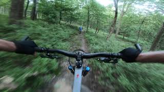 Mountain Bike - Green Shoot & Three...