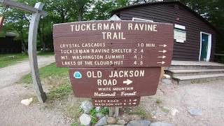 Hike - Tuckerman Ravine Trail, Mount...