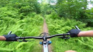 Mountain Bike - Tussey Mountain Trail /...