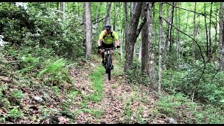 Mountain Bike - Bootleg Path Descent, Eagleton...