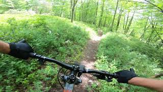 Mountain Bike - Green Shoot Trail - June 7, 2019