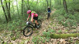Mountain Bike - Trans-Sylvania Mountain Bike...