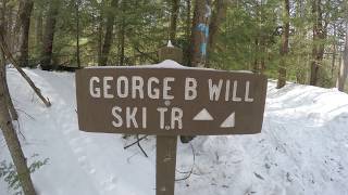 Cross Country Ski - George Will Trail, Black...