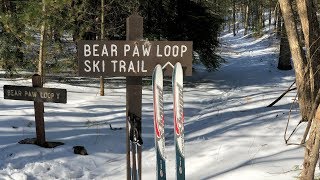 Cross Country Ski - Bear Paw Ski Loop Trail -...