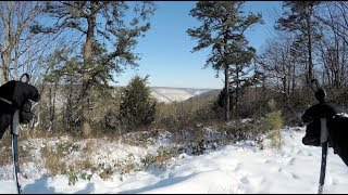 Cross Country Ski - Pitch Pine Loop,...