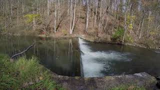 Mountain Bike - Spring Creek Canyon - November...