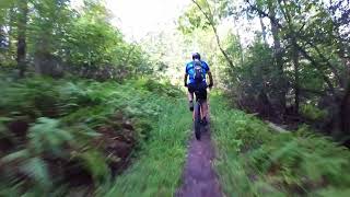 Mountain Bike - Lonberger Path, Rothrock State...