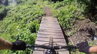 Mountain Bike - Colyer Lake Trail - July 31, 2017