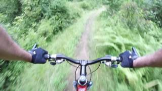 Mountain Bike - McElhattan / Rosecrans...