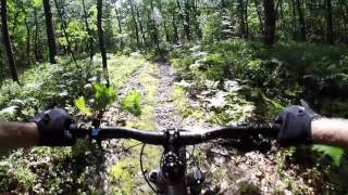 Mountain Bike - Pine Mountain Trails - July 8,...