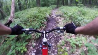 Mountain Bike - Tussey Mountain Trail,...
