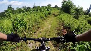 Mountain Bike - Tussey Mountain Trail -...