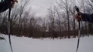 Cross Country Ski - Bear Paw Ski Loop,...