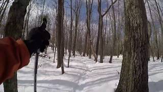 Cross Country Ski - Allegheny Front Trail /...