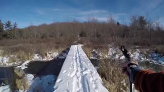 Cross Country Ski - Moss-Hanne Trail, Black...