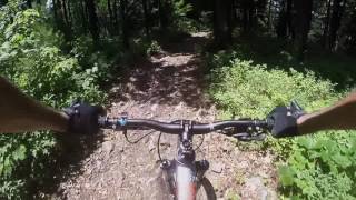 Mountain Biking - Cowbell Hollow, Top Mountain...