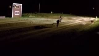 Rally Racing - V8 Rally Ranger #80 on STPR...