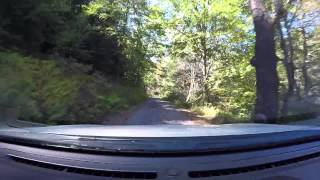 Sunday Drive...