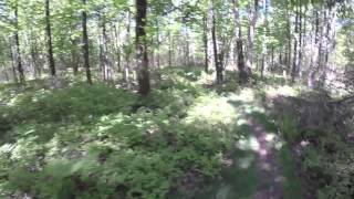 Trail Running - Ski Slope Trail, Black...