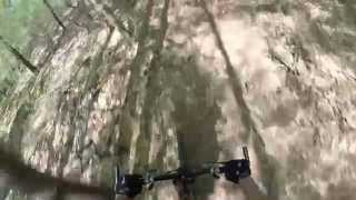 Mountain Bike - Skyline Trail, Bald Eagle...