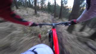 Neseskogen-Ålgård Enduro