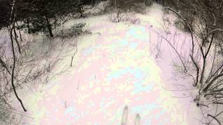 Cross Country Ski - Sand Ridge Woods -...