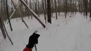 Cross Country Ski - Scotia Gamelands -...