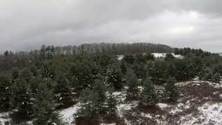 Drone - Bald Eagle State Park - Frog Pond Area...