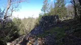 Hike - Shingletown Gap, Rothrock State Forest...