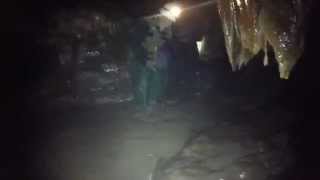 Caving - MAR trip to Allensville Cave -...