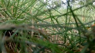 Drone - Hyner View State Park September 28, 2014
