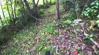 Mountain Bike - Bald Eagle State Park -...