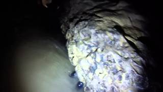 Caving - Penn Aqua Cave - July 26, 2014 (3)