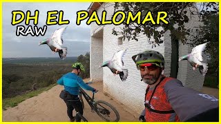 DH Palomar ​️​ Trilogía del Pardo parte...