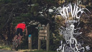 Mt Vic Enduro | 2021