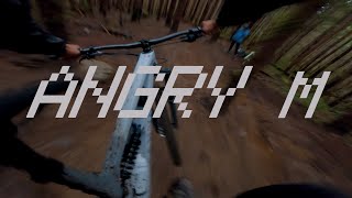 Shredding the Angry Midget - Diamond Head,...