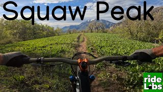 Squaw Peak DH