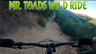 Mr. Toads Wild Ride - Mountain Biking -...