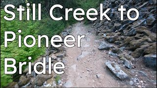Still Creek to Pioneer Bridle