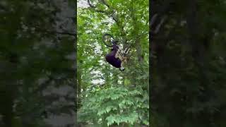 Hammer time at Holdshott Trails