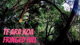 4K - Te Ara Koa, Fringed Hill, Nelson, New...