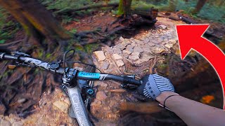 Not the trails for 29ers!